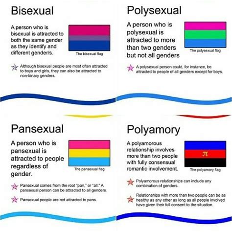 what is the difference between polyamorous and polysexual|What Is The Difference Between Polyamory Versus Polysexuality ...